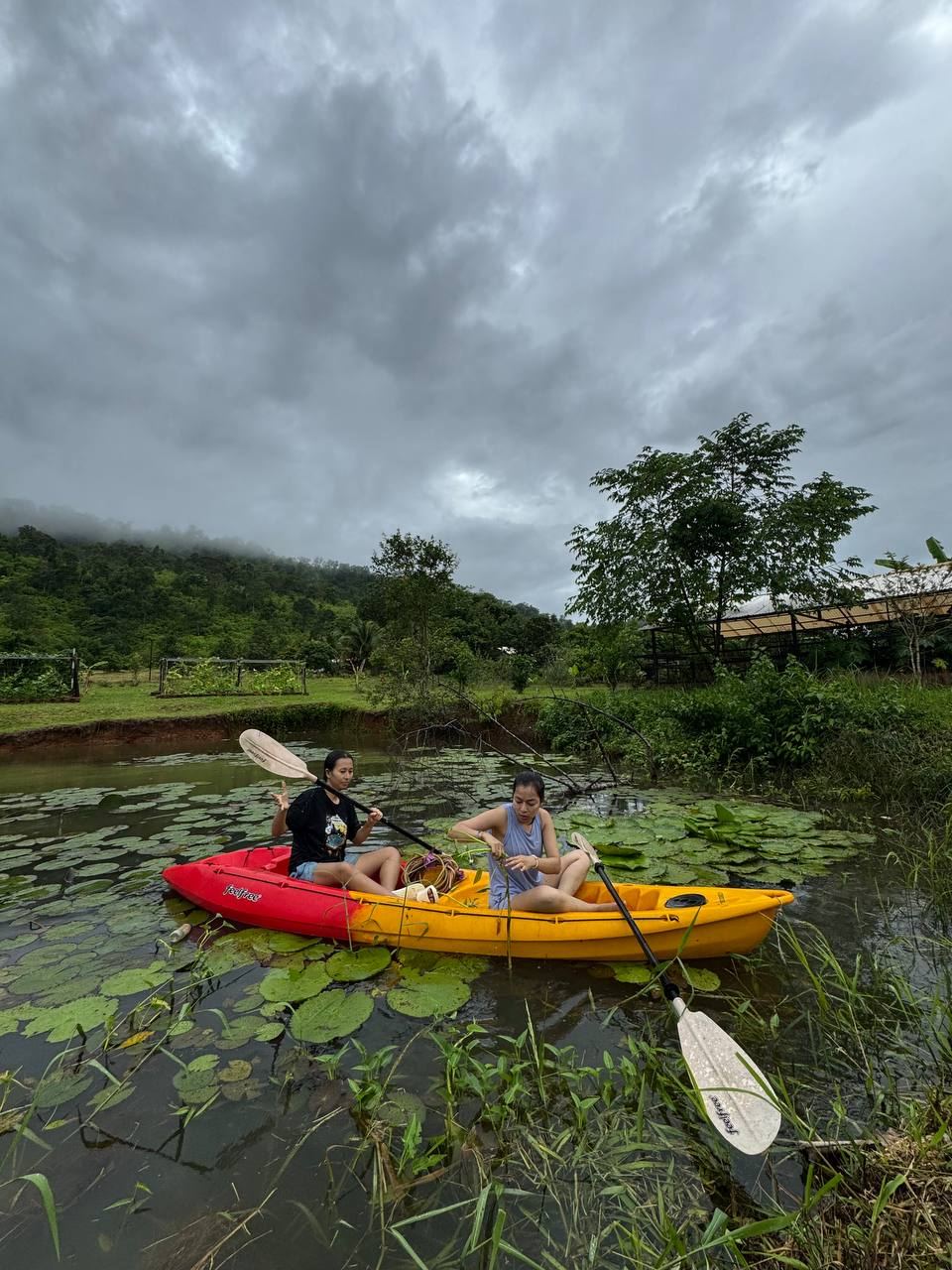 Kayaking among the water lilies
