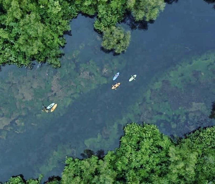 Kayaks from above