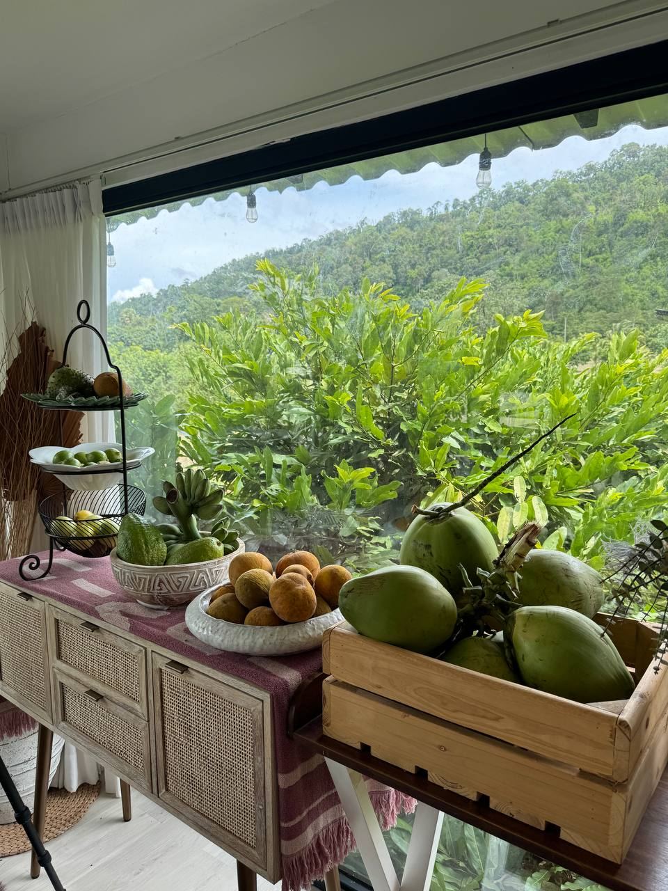 Fruit and coconuts by the window