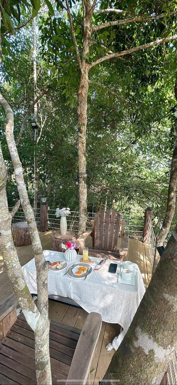 Breakfast on the deck under the trees