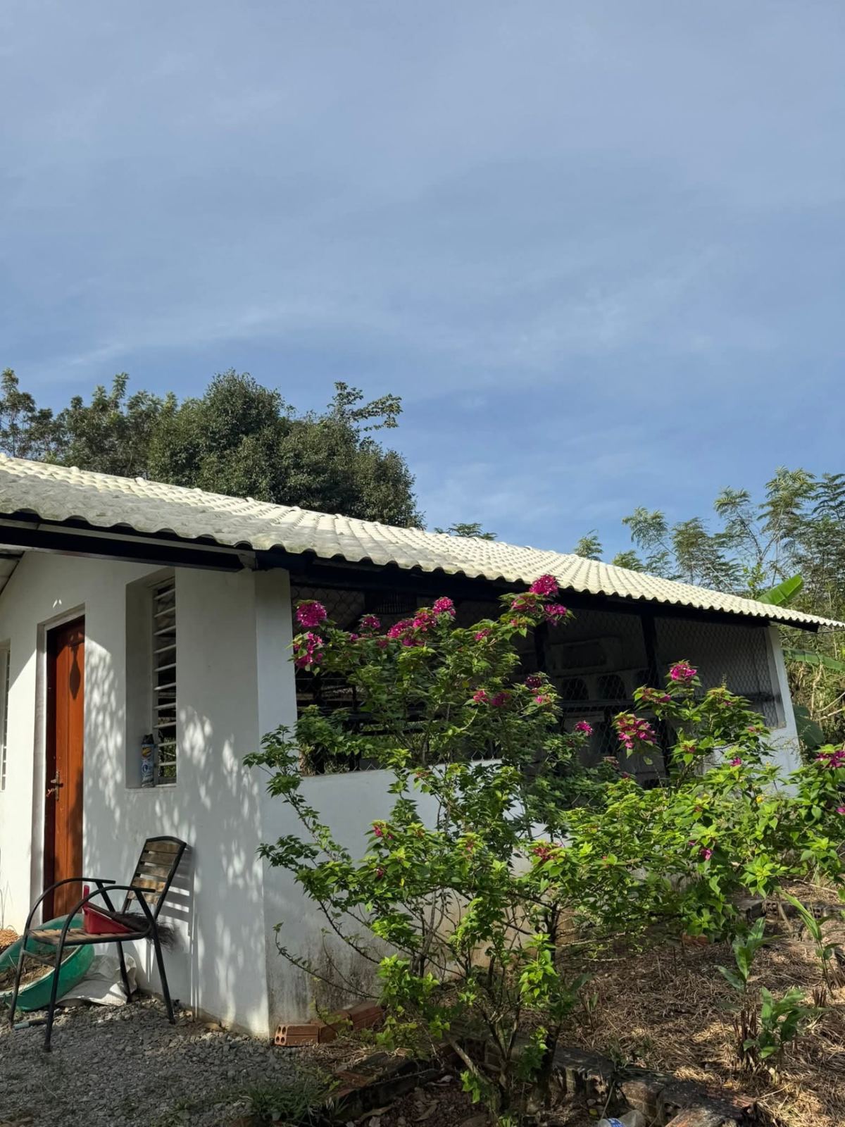 House in the garden