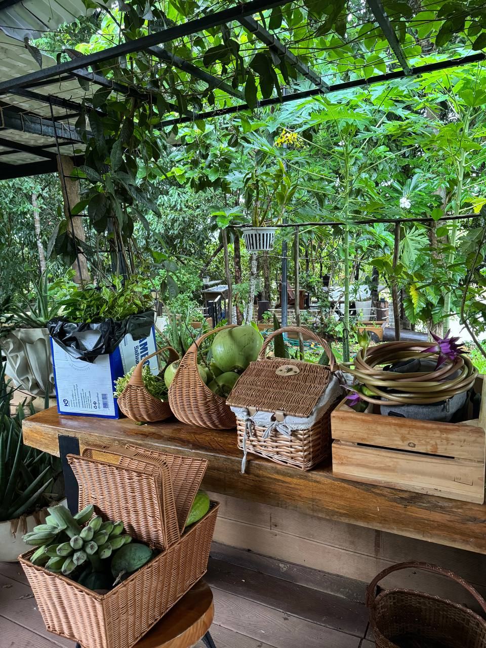 Fresh produce on the garden terrace
